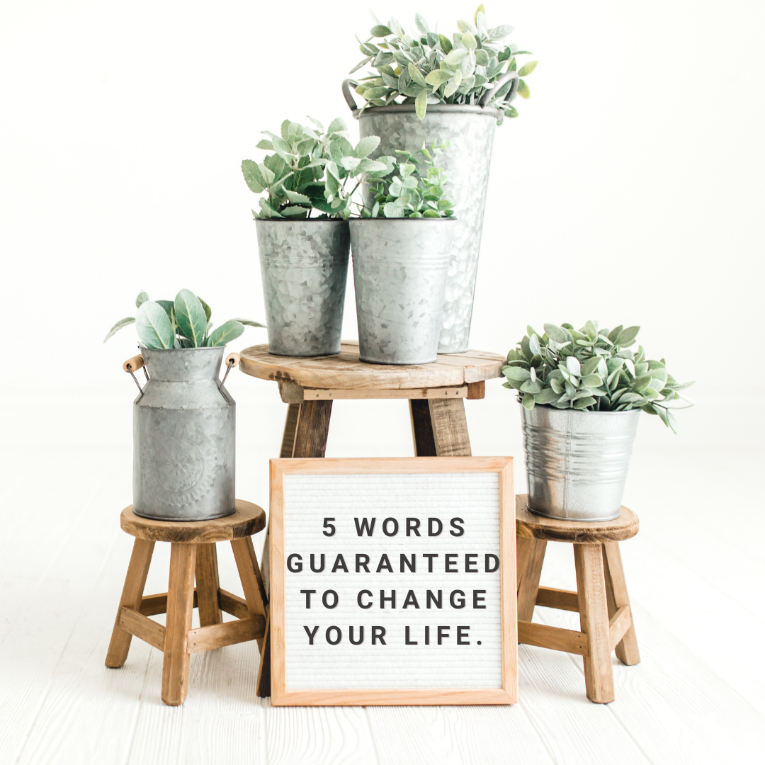 5 Words Guaranteed to change you life.
